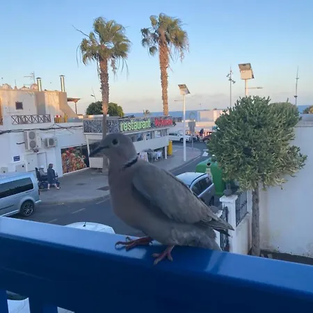 Mi Sueno Vv * Puerto del Carmen (Lanzarote)