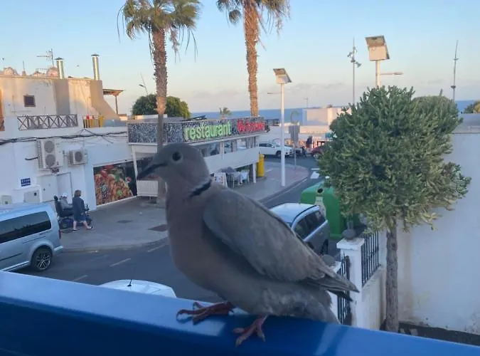 Mi Sueno Vv * פוארטו דל כרמן